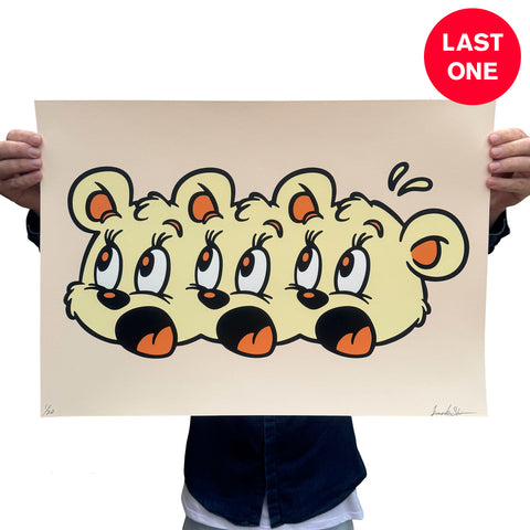 KOUSUKE SHIMIZU - R. Brownie