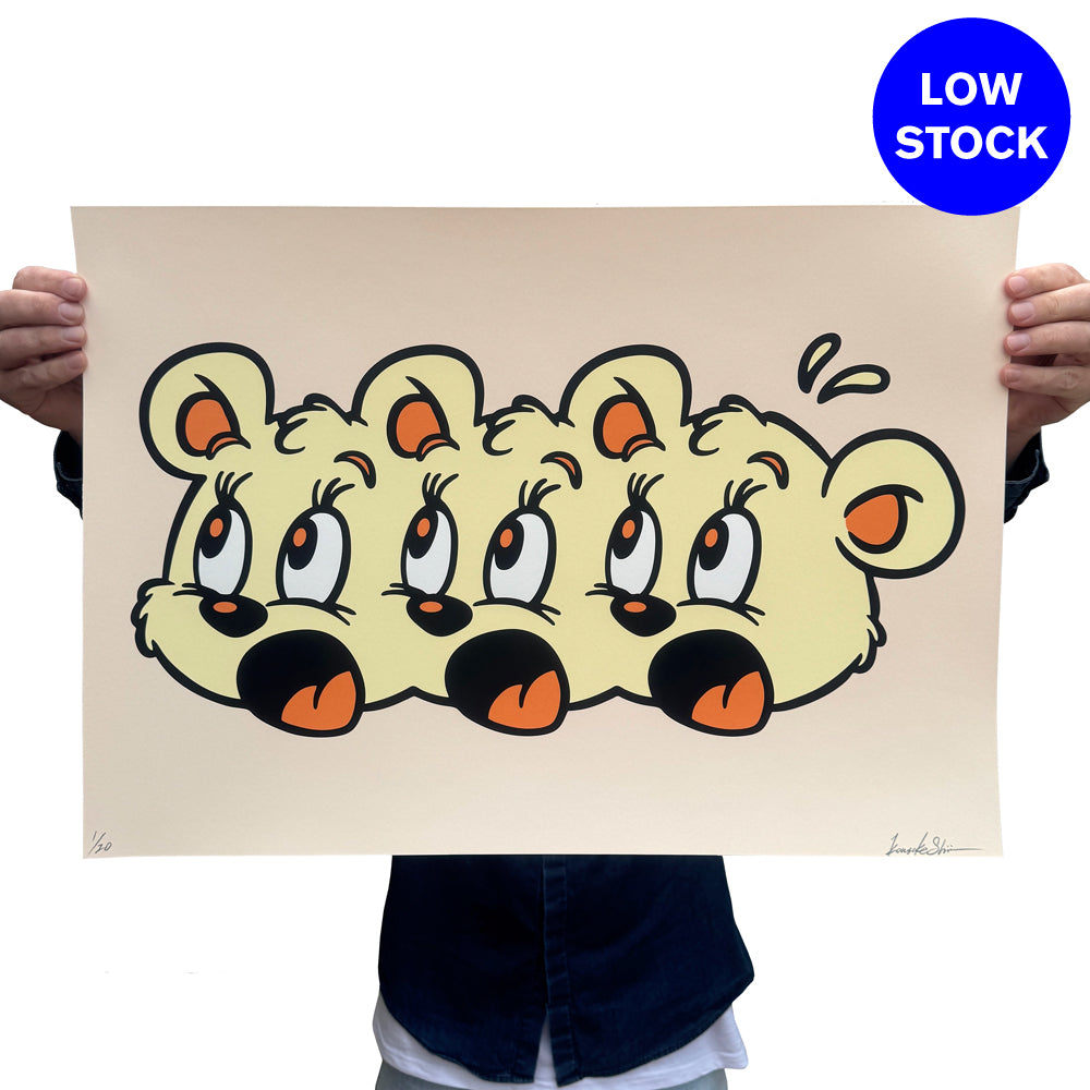 KOUSUKE SHIMIZU - R. Brownie